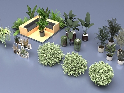 盆栽 植物装饰组合 盆栽