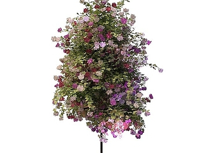 现代花架