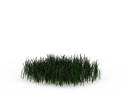 现代绿色草丛