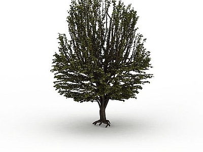 现代草地绿树
