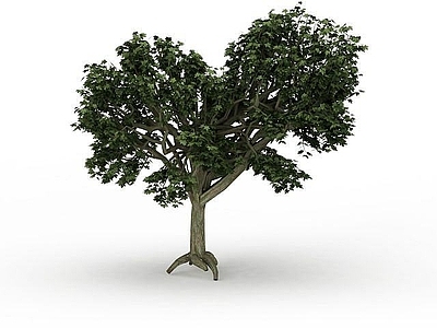 现代绿叶景观树