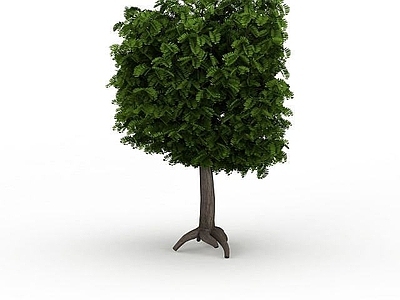 现代方形景观绿树