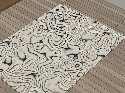 中古法式地毯 虎皮纹地毯 印花地毯 客厅地毯 长方形地毯