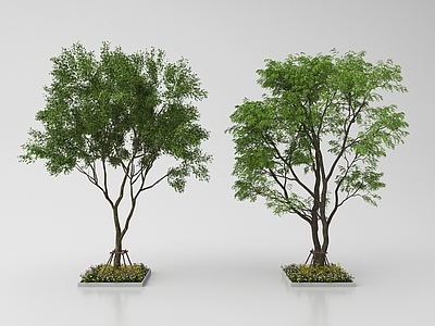 现代庭院小品 现代庭院小品 园林景观 植物造景
