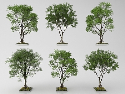 现代其他景观小品 现代庭院小品 园林景观 植物造景 植物堆 植物组合