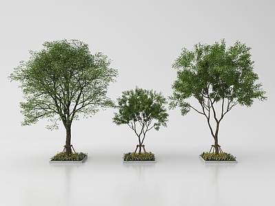 现代其他景观小品 现代庭院小品 园林景观 植物造景