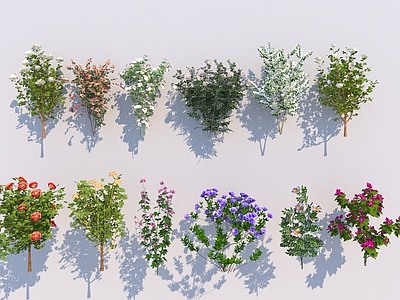 灌木 庭院绿植花草灌木 花园花卉 鲜花植物景观