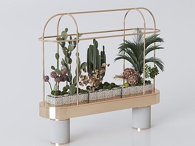 现代植物组合 花架
