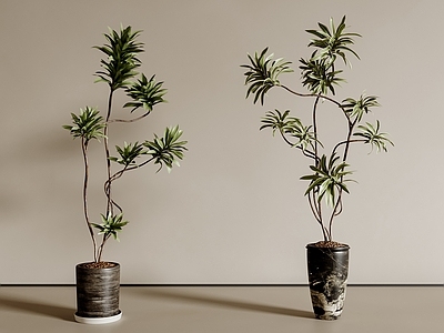 盆栽 中古风盆栽 植物盆栽 绿植盆栽 花盆 客厅盆栽