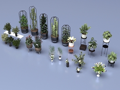 盆栽 室内植物盆栽组合