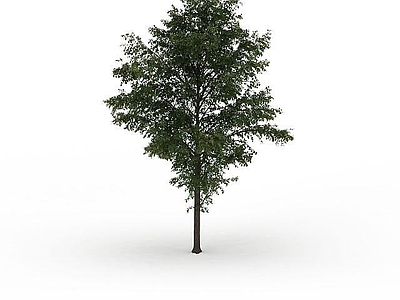 现代绿色景观树