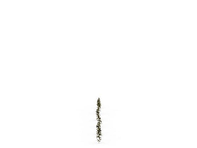 现代园林小草