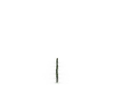 现代蕨叶小草