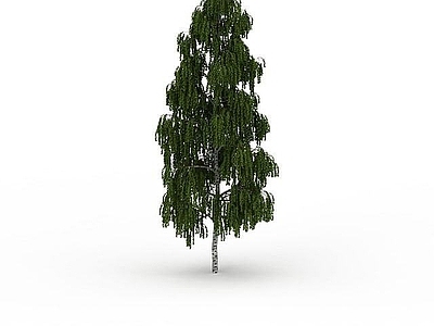 现代室外景观树