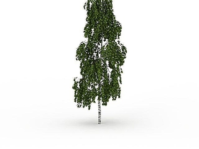 现代景观装饰树