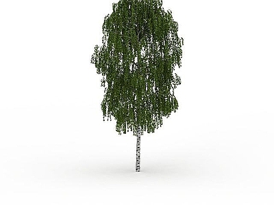 现代室外柳树