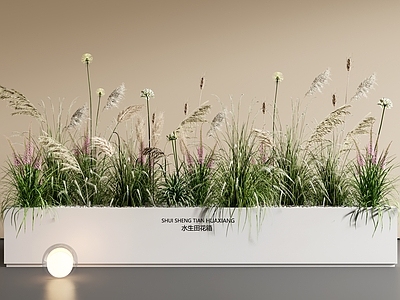 花草组合 芦苇 外摆花箱 麦穗 狗尾巴草 花箱