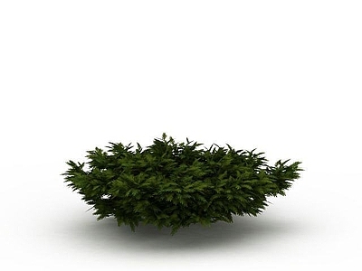现代园林景观树