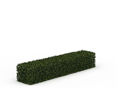 现代景观植篱