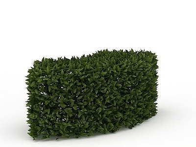 现代室外植篱