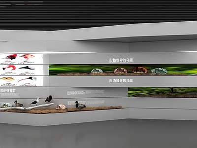 现代其他展厅 鸟类科普展厅 鸟巢鸟蛋
