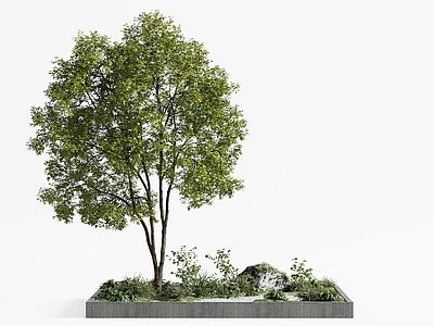 树池 现代树池 景观树池 造型树池 树木