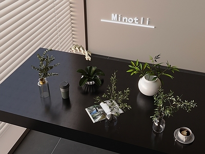 水生植物 水生绿植摆件