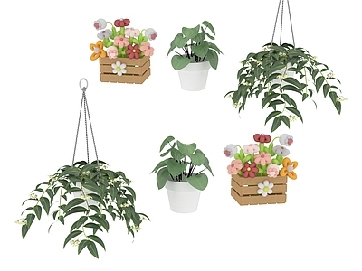 盆栽 植物 盆栽
