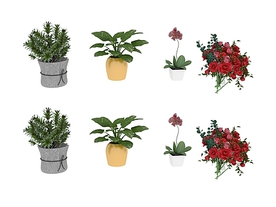 盆栽 绿色植物 盆栽花