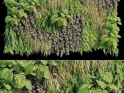 绿植墙