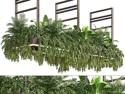 盆栽