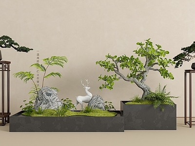 盆栽 绿植盆栽组合