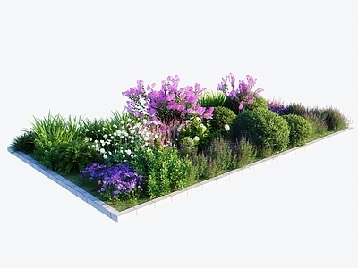 植物堆 现代花坛 花草灌木植物组合 植物堆灌木组合