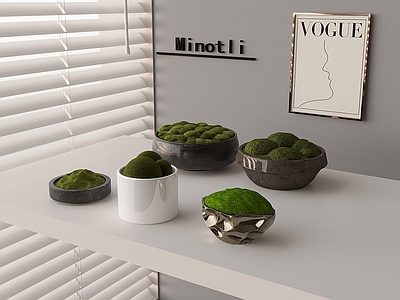 苔藓 苔藓绿植盆景盆栽 苔藓小品装饰盆栽