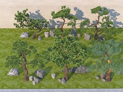 乔木 罗汉松景观植物乔 观赏树松树造型树 石头盆景盆栽