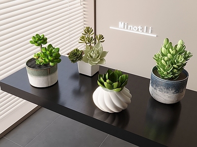 盆栽 多肉绿植盆栽盆景 多肉植物摆件