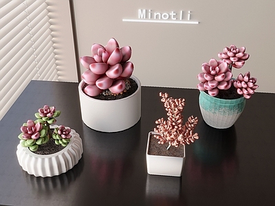 盆栽 多肉绿植盆栽盆景 多肉植物摆件