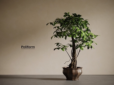 盆栽 新中式绿植 植物盆栽