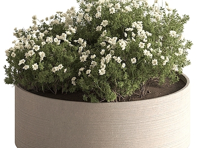 现代欧式花钵 花钵