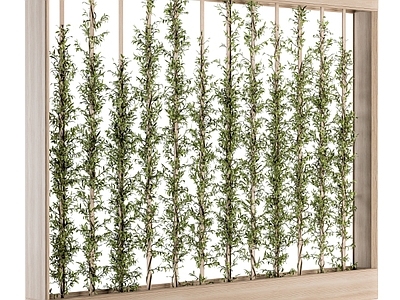 绿植墙