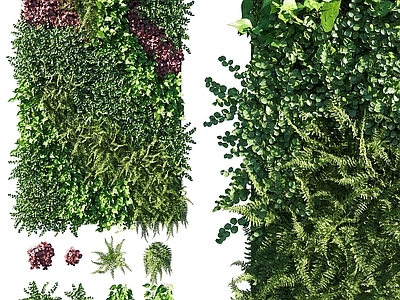 绿植墙