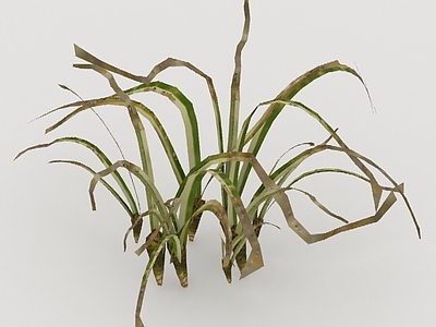 酒水食物 餐食品