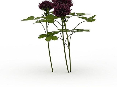 现代公园植被