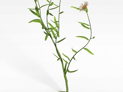 现代装饰花草