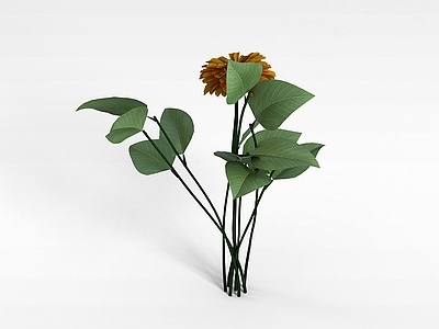 现代园林花草