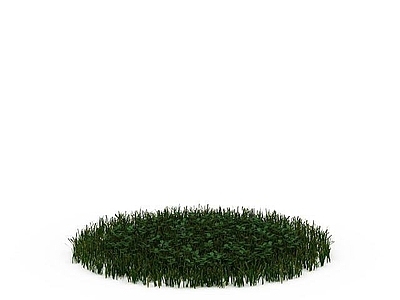 现代绿色草丛