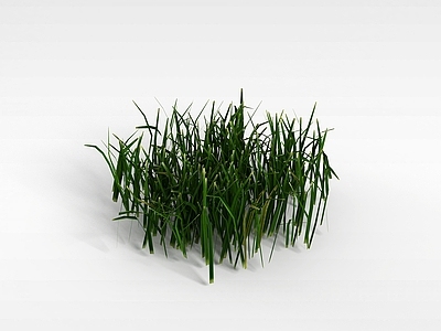 现代绿草