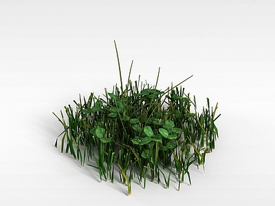 现代绿色草丛