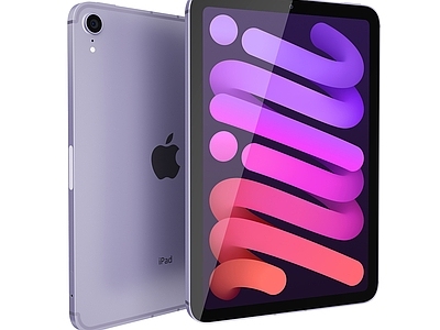 电脑 Apple 苹果 ipad Mini 平板电脑