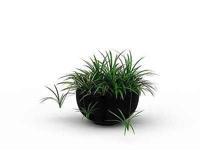 现代绿植装饰